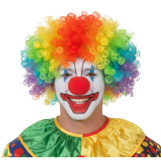 Rainbow Clown Wig