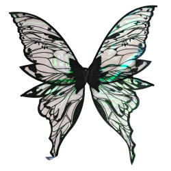 Black Fairy Wings