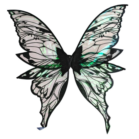 Black Fairy Wings