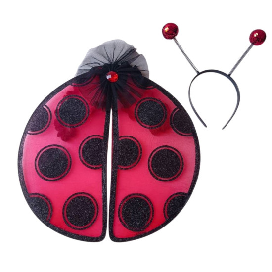 Lady Bug Kit