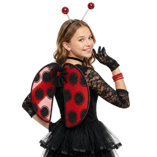 Lady Bug Kit