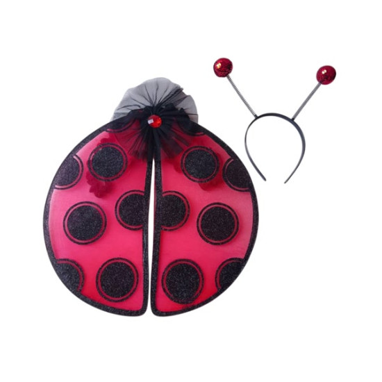 Lady Bug Kit