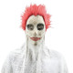 Veiled Horror Clown Mask