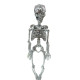 Mirrorball Skelly 3FT
