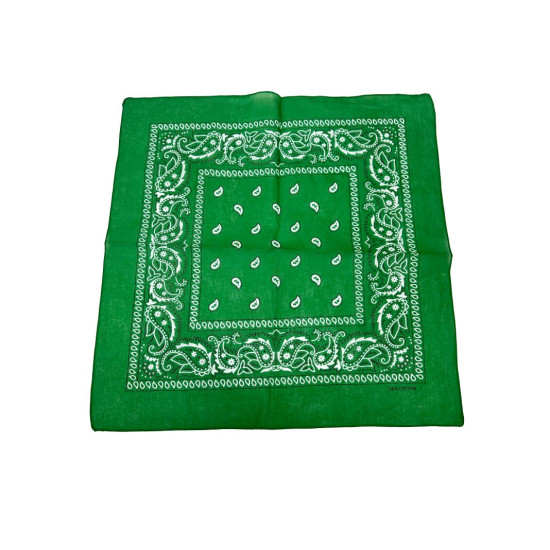 Green Paisley Bandana 20x20in