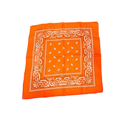 Orange Paisley Bandana 20x20in