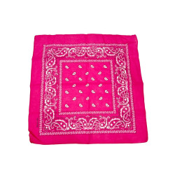 Pink Paisley Bandana 20x20in