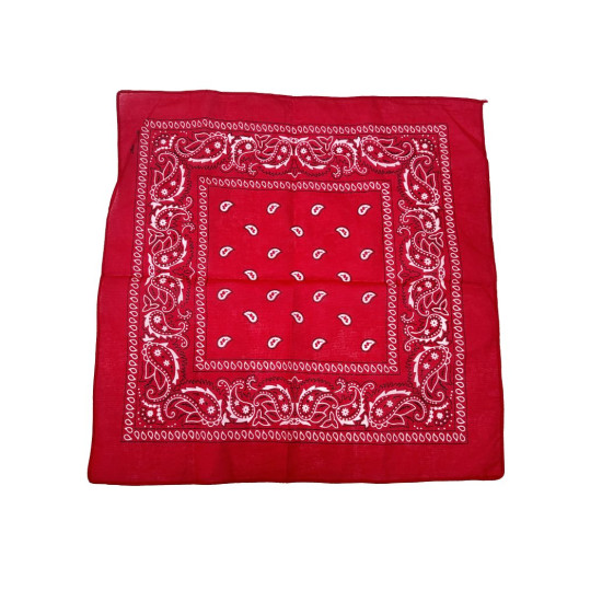 Red Paisley Bandana 20x20inch