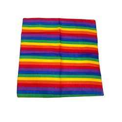 Rainbow Paisley Bandana 20x20in