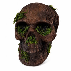 Moss Decaying Skull