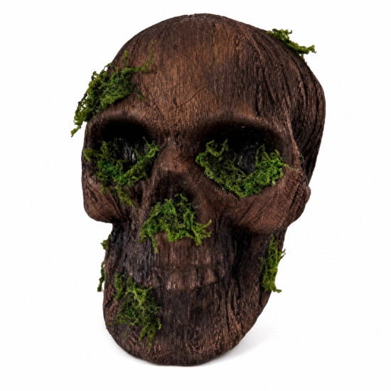 Moss Decaying Skull