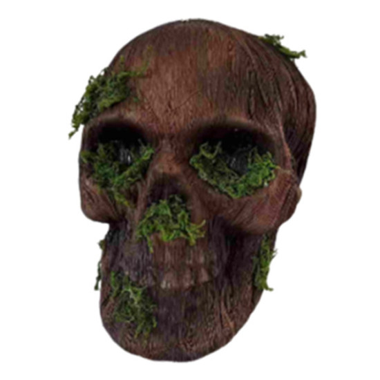 Moss Decaying Skull