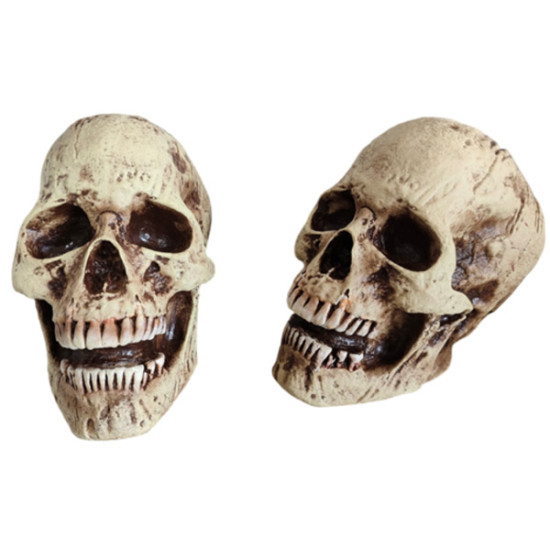 Skulls