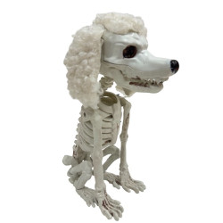 poodle skeleton