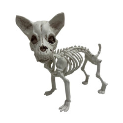 Standing dog skeleton