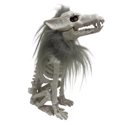 wolf skeleton