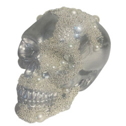 Sliver skull