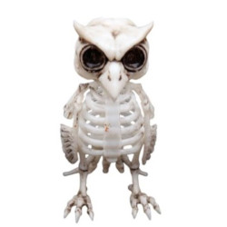 Skeleton owl