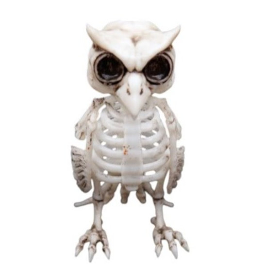 Skeleton owl