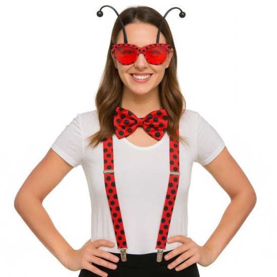 Ladybug Dress-Up Kit Ladybug Dress-Up Kit