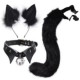 Black Cat Costume Kit Black Cat Costume Kit