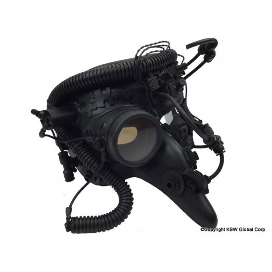 Black Bird Plague Mask