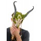 Woodland Goat Skull Mask Woodland Goat Skull Mask