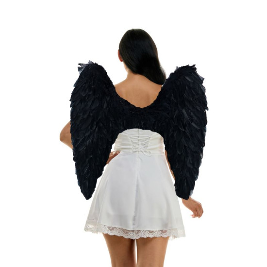 Black Feather Wings